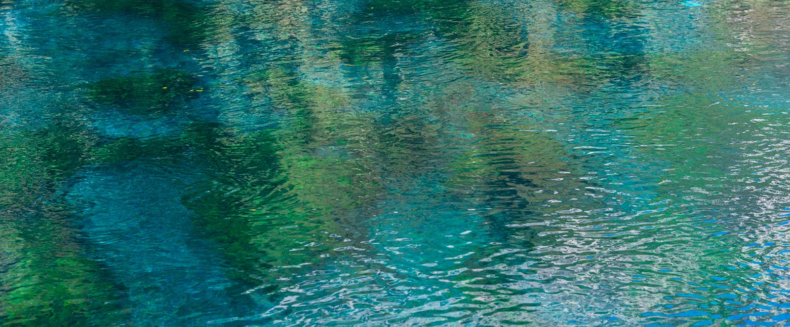 Close up shot of reflections on water